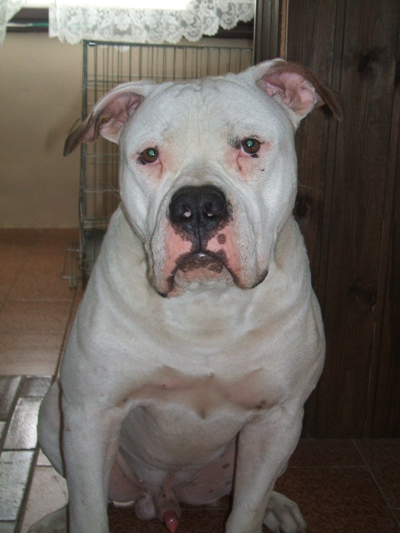 DSCF4408.JPG
