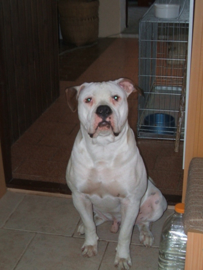 DSCF4648.JPG