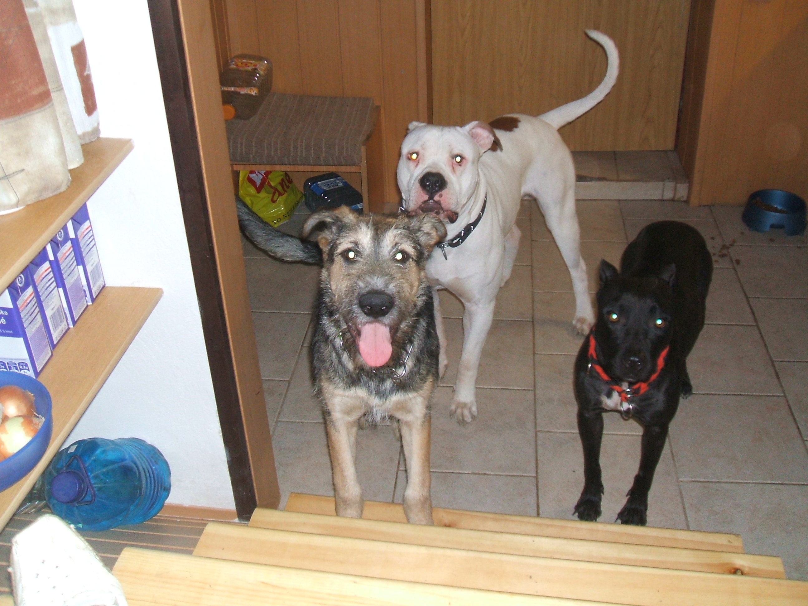 DSCF5018.JPG